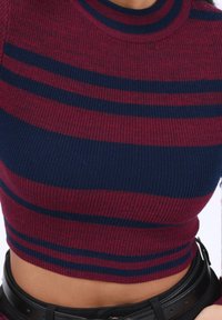 Knit cropped top featuring burgundy and navy horizontal stripes, ribbed texture, and a round neckline. Black belt visible at the waist.