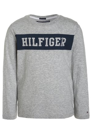 AME BIG LOGO - Pitkähihainen paita - grey
