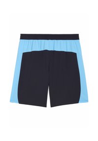 Marineblå og lyseblå sports shorts med elastisk talje; glat tekstur; farveblokeret design. Ingen synlige mønstre eller hardware.