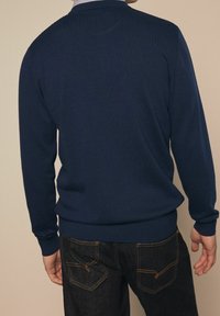 Next Strickpullover - blue
