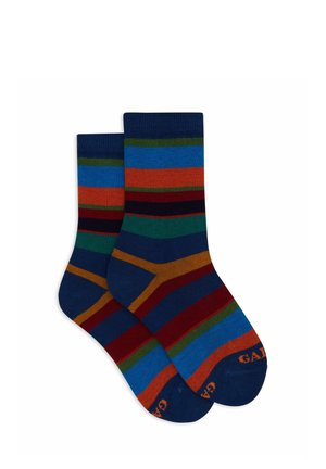 WITH MULTICOLOURED STRIPES. - Calze - abisso prato