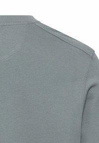 Lichtgrijze sweatshirt met een geribde ronde hals en een gladde textuur. Het materiaal lijkt rekbaar te zijn met een subtiele glans.