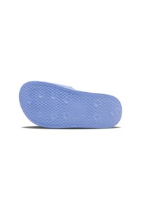 Hummel Pool slides - hydrangea