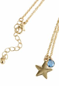 Next BIRTHSTONE - REGULAR FIT - Halskæder - gold tone march