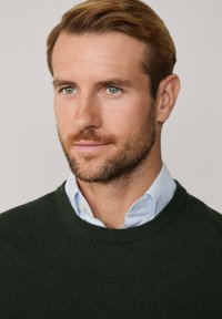 Maglione verde scuro con scollo a giro, indossato sopra una camicia a collare a righe bianco e azzurro. Texture morbida e design minimalista.