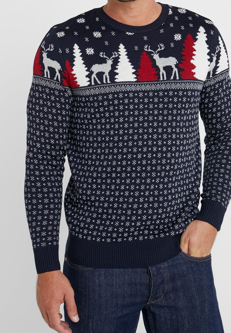 TOM TAILOR Maglione - dark blue