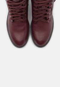 XTI Stivaletti stringati - bordeaux