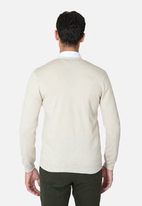 Maglione leggero beige a maglia con maniche lunghe, scollatura a V e orlo a costine, indossato sopra una camicia bianca con colletto e pantaloni verdi.