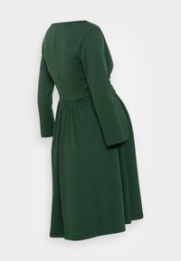 Grön, långärmad klänning med en figursydd överdel och infällt midja. Mjuk tyg med en slät yta, som svänger ut vid knäet.