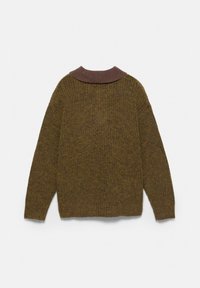 Grünlich-brauner gestrickter Pullover mit langen Ärmeln, geripptem dunkelbraunem Kragen und strukturiertem Stoff, der eine lockere Passform hat und keine sichtbaren Verschlüsse aufweist.