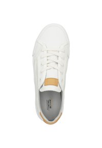 camel active Trainers - white