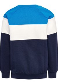 Felpa color block blu, bianca e blu navy. Collo a giro, maniche raglan, polsini e vita a coste. Materiale morbido in misto cotone.