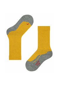 FALKE ACTIVE WARM  - Calze sportive - bee