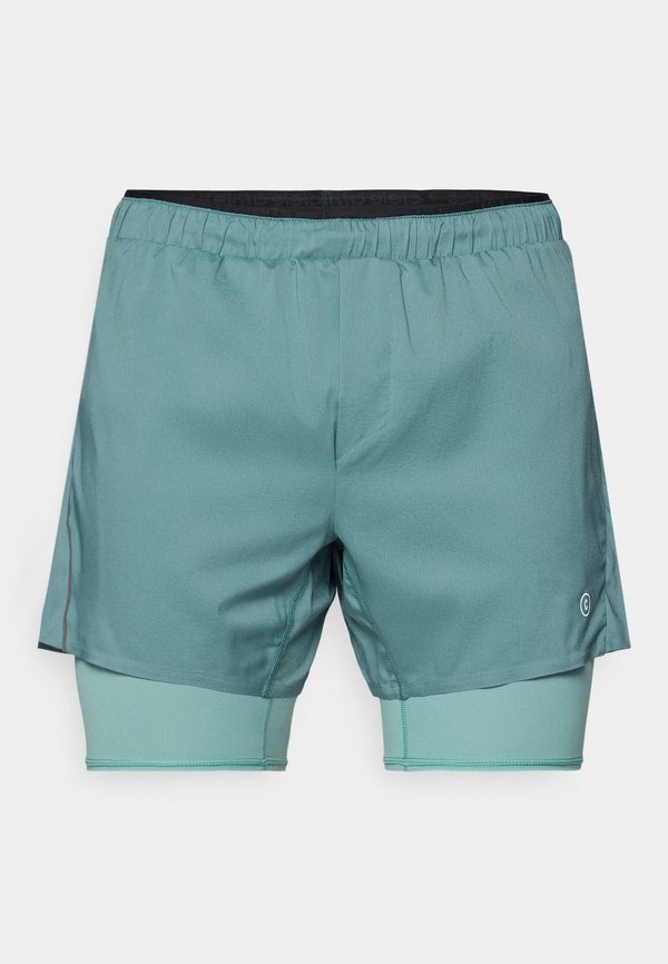 M DLYSHORT 5'' - Sports shorts - silver pine3