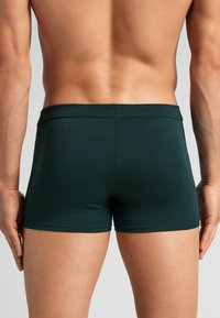 Tmavě zelené boxerky z bavlněné směsi s měkkým pasem, přiléhavým střihem a hladkým povrchem. Pohled ze zad, ukazující tvar oděvu.