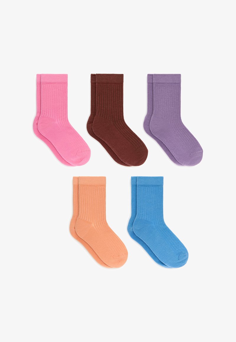 Cinq paires de chaussettes côtelées mi-mollet en rose, marron, violet, pêche et bleu, disposées en deux rangées sur un fond blanc.