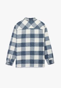 Langærmet flannel skjorte med blå og hvid ternet mønster, knaplukning ved håndleddene og en foldet krave vist fra ryggen.