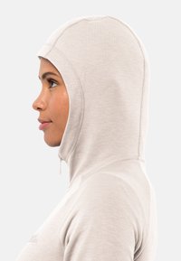 Lichtgrijze hoodie met een aangesloten ontwerp en een hoge kraag. Soepele textuur, heeft een ritsopening bij de nek en gestikte naden.