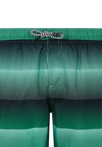 Protest Zwemshorts - cactus green