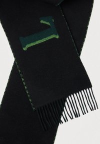 Cachecol preto feito de lã com detalhes verdes e um padrão verde. As extremidades com franjas adicionam textura, destacando um design limpo e moderno.