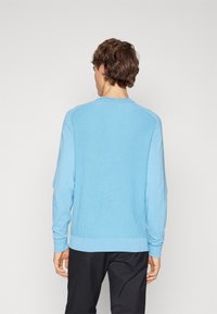 Hellblauer, gestrickter Pullover mit langen Ärmeln, rundem Halsausschnitt und geripptem Saum. Besitzt eine strukturierte Oberfläche und eine lockere Passform.