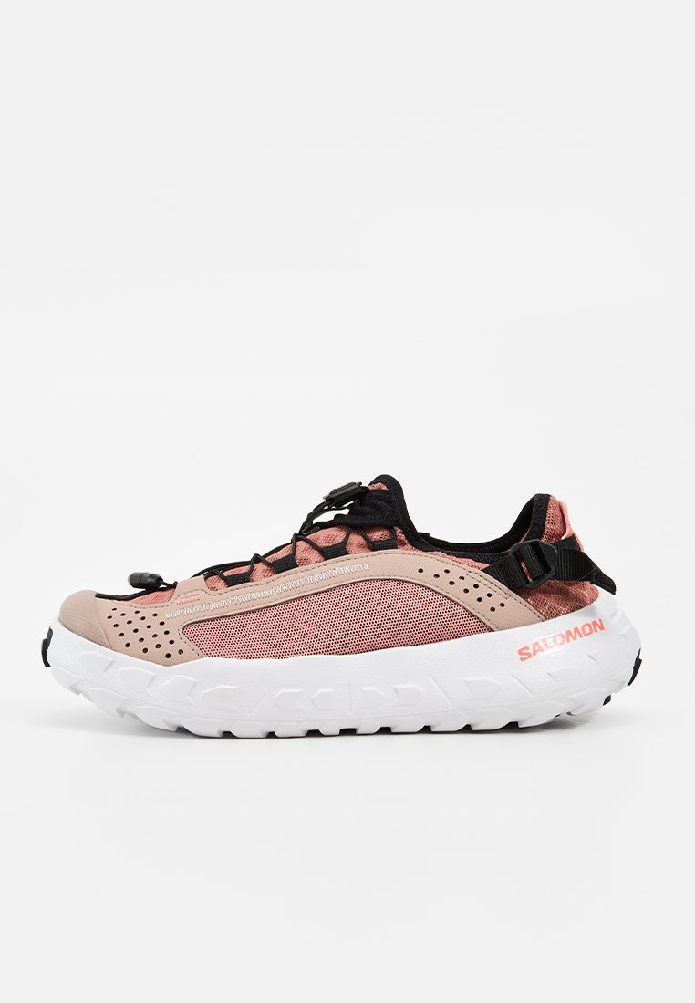SOLAMPHIBIAN
