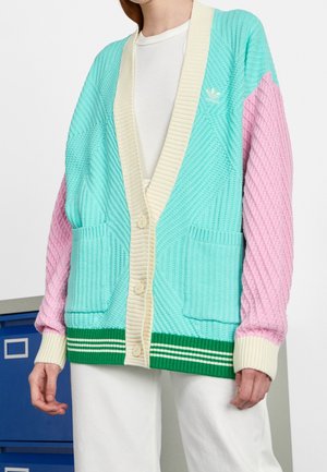 Persoon draagt een pastelkleurig teal en roze gebreid vest met crèmekleurige knopen, een groene gestreepte zoom en twee voorzakken, over een witte top en broek.