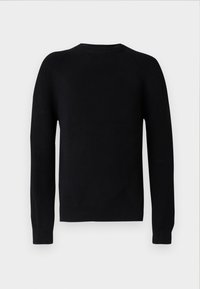 RIPPLEY - Jumper - black