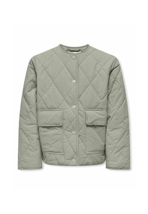 KOGROSALINA QUILTED VD NOOS - Chaqueta de invierno - seagrass