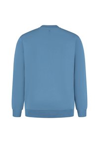 Effen blauwe sweatshirt met ronde hals, lange mouwen en geribde manchetten en zoom, van achteren getoond op een witte achtergrond.