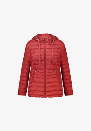 MS Mode, COAT - Winterjas - steinrot