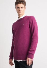 Lilla ullgenser med v-hals, ribbede mansjetter og hem. Har et lite, brodert logo på brystet mot en enkel bakgrunn.