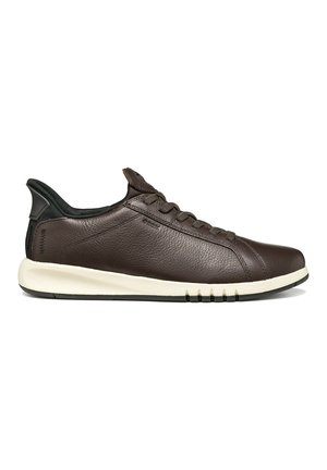 AERANTIS PLUS - Zapatillas - coffee