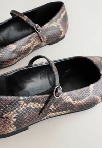 Borchie con stampa serpente, punta tonda, colorazione marrone scuro e beige, dotate di una fascia con fibbia argentata e un interno nero liscio.
