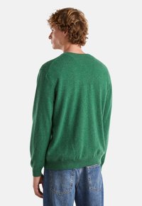 Mladý muž s kudrnatými vlasy, oblečený v zeleném svetru s dlouhým rukávem a modrých džínách, zachycený zády k fotoaparátu na neutrálním pozadí.