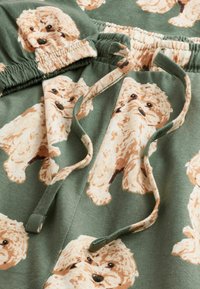 Next TALL - REGULAR FIT SET - Komplet pidžame - sage green charlie the cockapoo