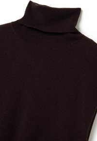 Dunkelbrauner Rollkragenpullover mit geripptem Kragen, aus einem weichen, strukturierten Stoff, in schmaler Passform und glatter Oberflächenstruktur.