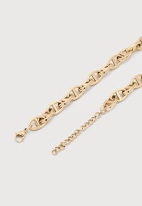 Κολιέ αλυσίδα σε χρυσό τόνο με οβάλ κρίκους και αυξομειούμενο κούμπωμα σε απλό λευκό φόντο.