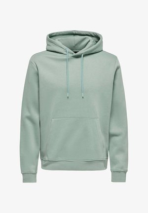 Kapuzenpullover in hellem Mintgrün, mit einer Vordertasche, verstellbaren Kordeln sowie gerippten Bündchen und Saum. Weicher, strukturierter Stoff.