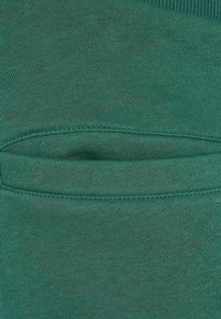 Starter ESSENTIAL  - Pantalones deportivos - darkfreshgreen