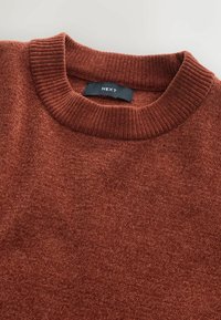 Rustfarbener Pullover mit geripptem Rundhalsausschnitt, aus strukturiertem Stoff, mit einem schwarzen Etikett mit der Aufschrift "NEXT" am Kragen.