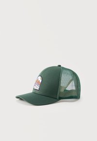 Non selezionato, sea green