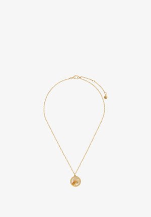 Kuldne kett, millel on ümmargune ripats tekstuuriga disainiga ja lõvimoega. Reguleeritava pikkusega ning klambriga sulgemine.