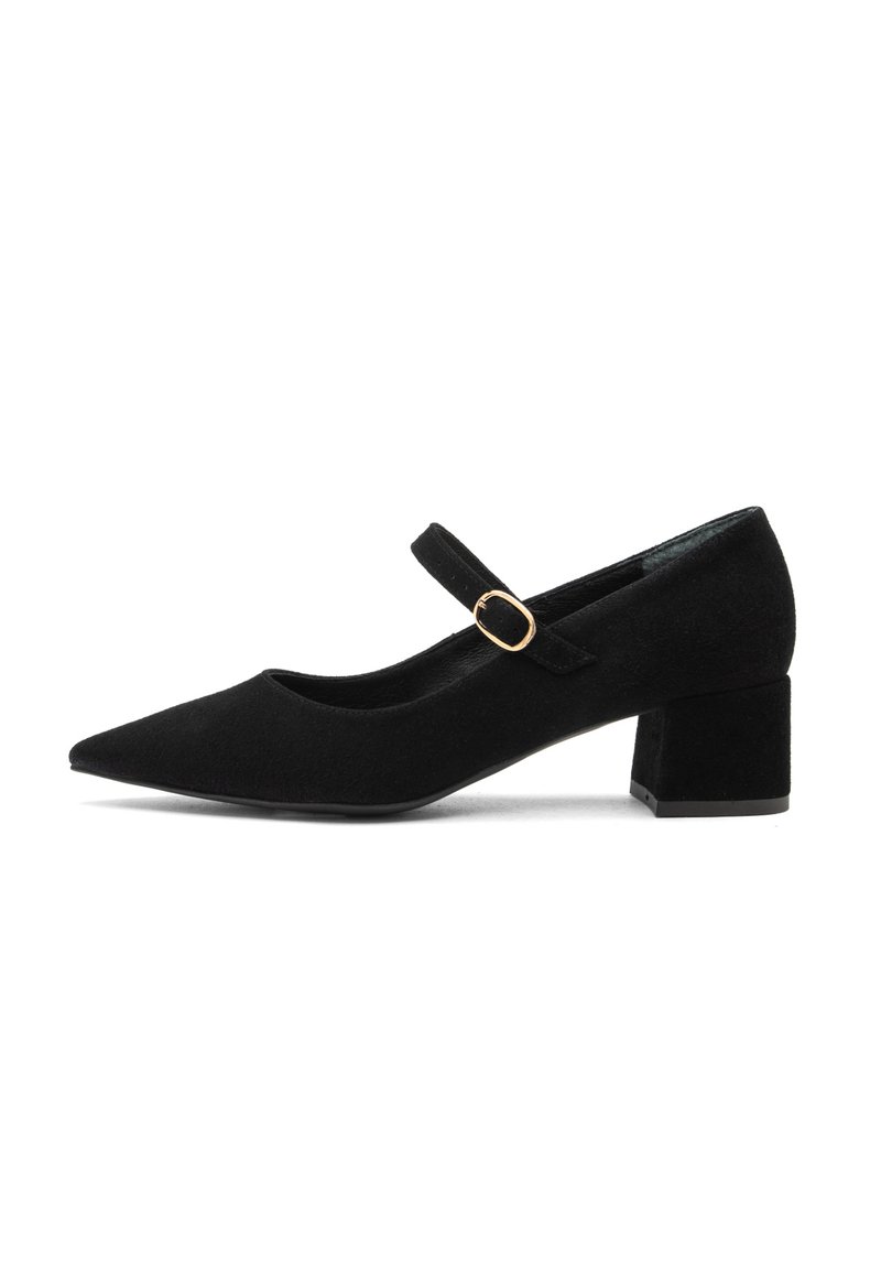 Black suede Mary Jane shoe with a pointed toe, flat black block heel, and an adjustable strap featuring a gold-colored buckle.