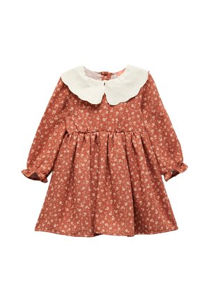 PETER PAN NECK - Paitamekko - brown