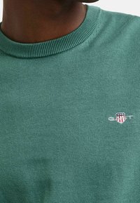 Grüner Strickpullover mit Rundhalsausschnitt, der ein kleines weißes Logo und ein rot-weißes Wappendesign aufweist. Die Struktur ist glatt und gleichmäßig.