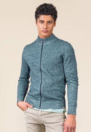 Young man with curly hair wearing a teal zip-up sweater and beige pants, standing with one hand in pocket against a neutral background.