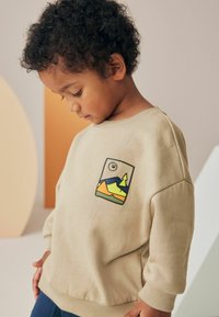 Next BACKPRINT AND JOGGERS SET - Tepláková súprava - stone mountain scene