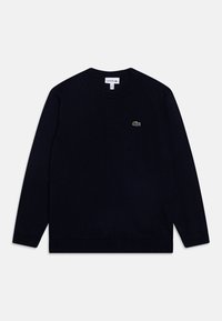 Mörkblå stickad tröja med rundad halsringning, långa ärmar och en liten grön krokodil-logotyp på bröstet. Ribbad mudd och nederkant.