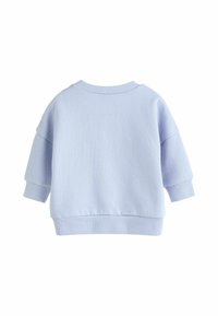 Gaiši zils, mīksts džemperis ar brīvu piegriezumu. Iezīmēts ar ribotiem piedurknēm un apakšmalu, kā arī noapaļotu kakla izgriezumu. Aizmugures skats nerāda nekādas rakstus vai akcentus.